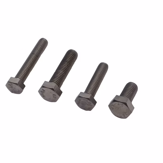 Perno de carro de acero inoxidable (SS304 SS316)