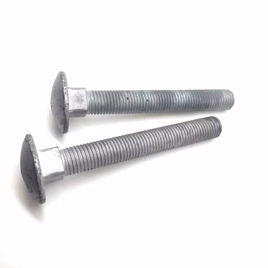 Pernos hexagonales de acero inoxidable de acero al carbono Pernos de brida Pernos cuadrados Pernos de carro Pernos de arado Pernos de elevador